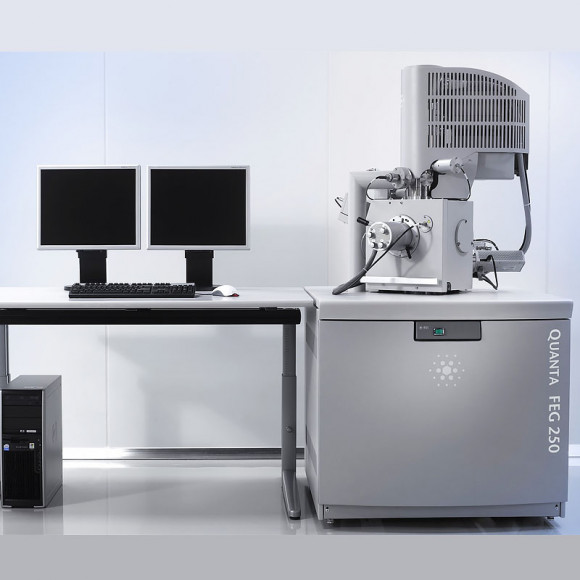 Сканирующий электронный микроскоп Qemscan 650 Сканирующий электронный микроскоп Qemscan 650